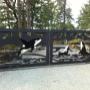 Custom Aluminum Plasma Cut Driveway Gate Custom Aluminum Plasma Cut Driveway Gate