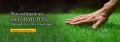 Entretien de pelouse Lawn care service