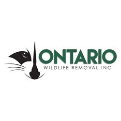 Ontario Wildlife Removal Inc.