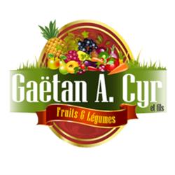 Gaetan A. Cyr