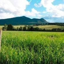 Fraser Valley Farm