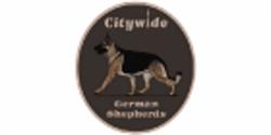 Citywide German Shepherds