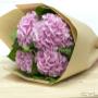 Chargé par visiteur le 2017-01-18 - We deliver beautiful flower arrangements all over TORONTO & GTA
Toy FLORIST 416.848.0633
www.toyflorist.com Chargé par visiteur le 2017-01-18 - We deliver beautiful flower arrangements all over TORONTO & GTA
Toy FLORIST 416.848.0633
www.toyflorist.com