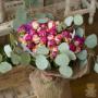 Chargé par visiteur le 2017-01-18 - We deliver beautiful flower arrangements all over TORONTO & GTA
Toy FLORIST 416.848.0633
www.toyflorist.com Chargé par visiteur le 2017-01-18 - We deliver beautiful flower arrangements all over TORONTO & GTA
Toy FLORIST 416.848.0633
www.toyflorist.com