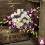 Chargé par visiteur le 2017-01-18 - We deliver beautiful flower arrangements all over TORONTO & GTA
Toy FLORIST 416.848.0633
www.toyflorist.com Chargé par visiteur le 2017-01-18 - We deliver beautiful flower arrangements all over TORONTO & GTA
Toy FLORIST 416.848.0633
www.toyflorist.com