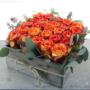 Chargé par visiteur le 2017-01-18 - We deliver beautiful flower arrangements all over TORONTO & GTA
Toy FLORIST 416.848.0633 Chargé par visiteur le 2017-01-18 - We deliver beautiful flower arrangements all over TORONTO & GTA
Toy FLORIST 416.848.0633