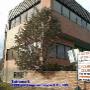Chargé par visiteur le 2017-01-26 - Calgary B C Acupuncture building Chargé par visiteur le 2017-01-26 - Calgary B C Acupuncture building