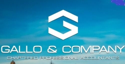 Gallo and Company