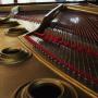 Chargé par visiteur le 2017-02-19 - Grand Piano Tuning Chargé par visiteur le 2017-02-19 - Grand Piano Tuning