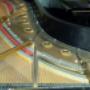 Chargé par visiteur le 2017-02-19 - Steinway Grand Piano Chargé par visiteur le 2017-02-19 - Steinway Grand Piano