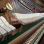 Chargé par visiteur le 2017-02-19 - Upright Piano Open Chargé par visiteur le 2017-02-19 - Upright Piano Open