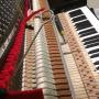 Chargé par visiteur le 2017-02-19 - Vancouver Piano Tuner Tools Chargé par visiteur le 2017-02-19 - Vancouver Piano Tuner Tools