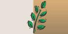 Il Giardino Landscaping