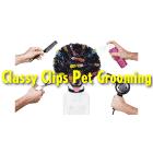 Classy Clips Pet Grooming