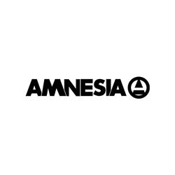 Amnesia