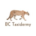 BC Taxidermy