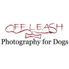 Off-Leash Photography