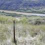 Found Boundary Marker Post by Big Valley Found Boundary Marker Post by Big Valley