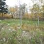 Staking a New House to be Built Staking a New House to be Built