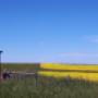 Using GPS to Determine Position of Boundary Marker for Rural Subdivision Using GPS to Determine Position of Boundary Marker for Rural Subdivision