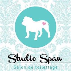 Studio Spaw