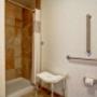 Guest room bath Guest room bath