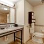 Guest room bath Guest room bath