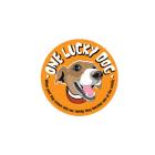 One Lucky Dog