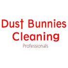 Dust Bunnies Cleaning