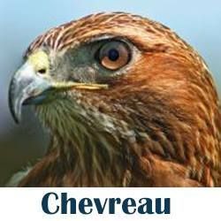Chevreau Consulting Ltd