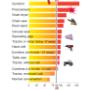 Common Noise Levels: How loud is too loud.
Download a sound meter app to your phone and see for yourself! 80dB to 85dB is too loud and hearing protection should be worn. Common Noise Levels: How loud is too loud.
Download a sound meter app to your phone and see for yourself! 80dB to 85dB is too loud and hearing protection should be worn.