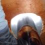 Photo Photo