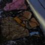 Photo Photo