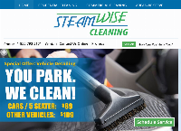 Steamwise Cleaning