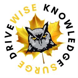 DriveWise