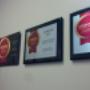 Consumers Choice award winner for 5 consecutive years! Consumers Choice award winner for 5 consecutive years!