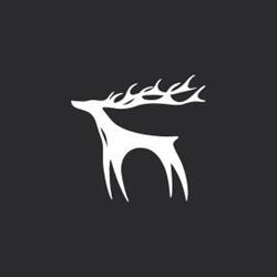 Wild Forest