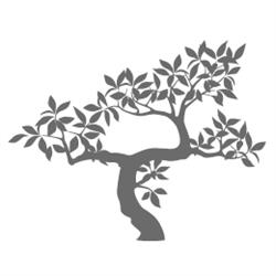 The Mindful Living Centre