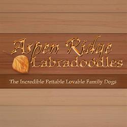 Aspen Ridge Labradoodles