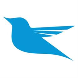Bluebird Cakery