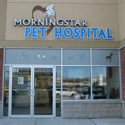 Morningstar Pet Hospital