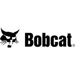 Bobcat de Gatineau