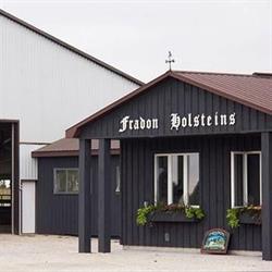 Fradon Holsteins