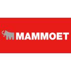 Mammoet Crane Inc