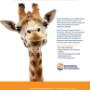 Chargé par visiteur le 2017-12-07 - Debra Stuart Chargé par visiteur le 2017-12-07 - Debra Stuart