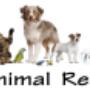 Animal Reiki available from a distance or in person Animal Reiki available from a distance or in person