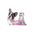 Toilettage St-Henri