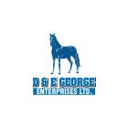 D & E George Enterprises Ltd