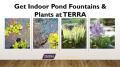 Get Indoor Pond Fountains & Plants at TERRA