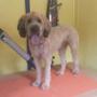 Stewart came in for a bath and tidy. Stewart came in for a bath and tidy.
